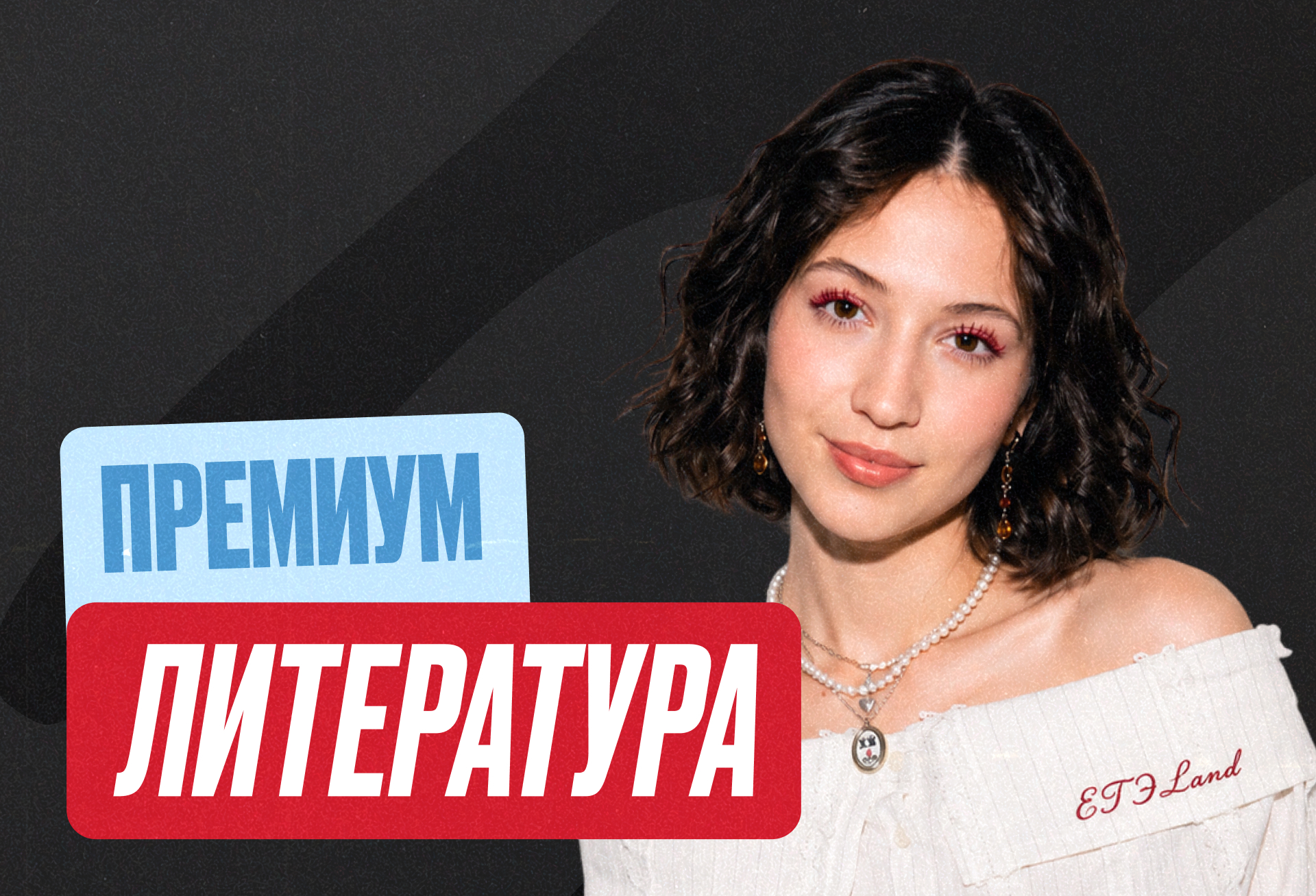 Литература Годовой 2027 ЕГЭ 11 класс Премиум